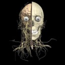 Фотография Грачева Алексея