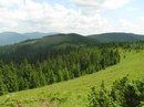 Андрей Стадник фотография #41 (источник - https://vk.com/id165749078)