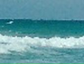 Ірина Смачило фотография #5 (источник - https://vk.com/id133972009)