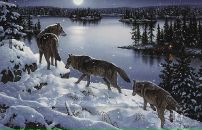 Фотография Скородубцева Александра