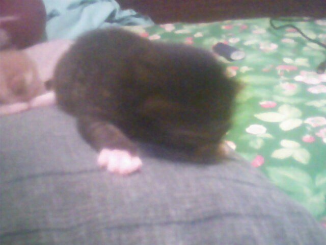 Антон Доморов фотография #37