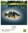 Віталік Гірняк фотография #48 (источник - https://vk.com/id139859569)