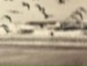 Іра Тодосійчук фотография #48 (источник - https://vk.com/id138059221)