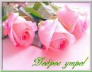 Юлія Романенко фотография #23 (источник - https://vk.com/id136620113)