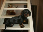 Фотография Романовой Светланы