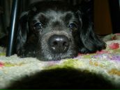 Вова Матіїв фотография #21 (источник - https://vk.com/id16714018)