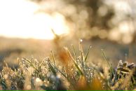 Михаил Яковлев фотография #19 (источник - https://vk.com/id2403530)