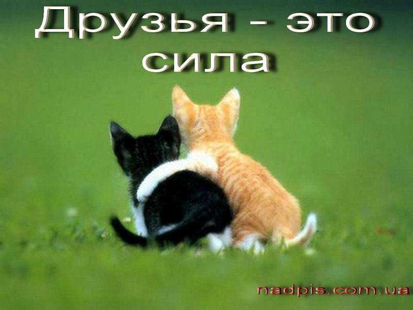 Дима Василев фотография #4