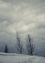 Фотография Финского Биполярла