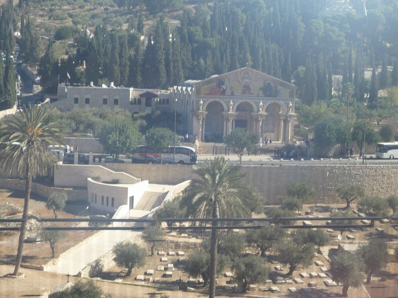 Дмитрий Томилов фотография #33