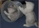 Сергій Прокопишин фотография #34 (источник - https://vk.com/id66292079)