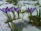 Фотография Игоревича Михаила