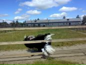 Артьом Рядінський фотография #2 (источник - https://vk.com/id8113165)