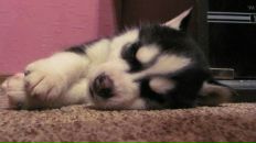 Фотография Корюкаевой Юли