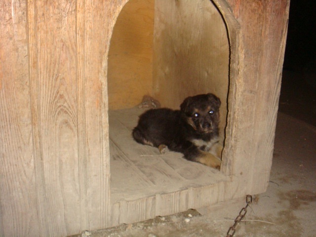 @любовь@ ****** фотография #48