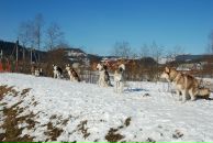 Дима Пилипчук фотография #27 (источник - https://vk.com/id20813129)