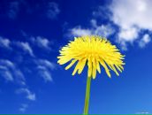 Фотография Ивановой Анастасии