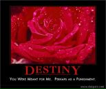 Фотография Жбановой Катерины