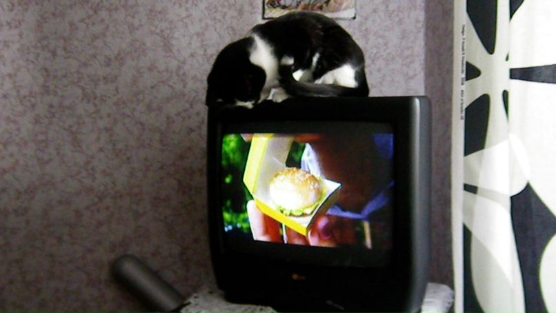 Антон Борзенков фотография #44