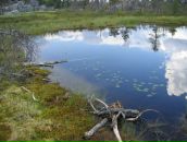 Иван Паньков фотография #18 (источник - https://vk.com/id746503)