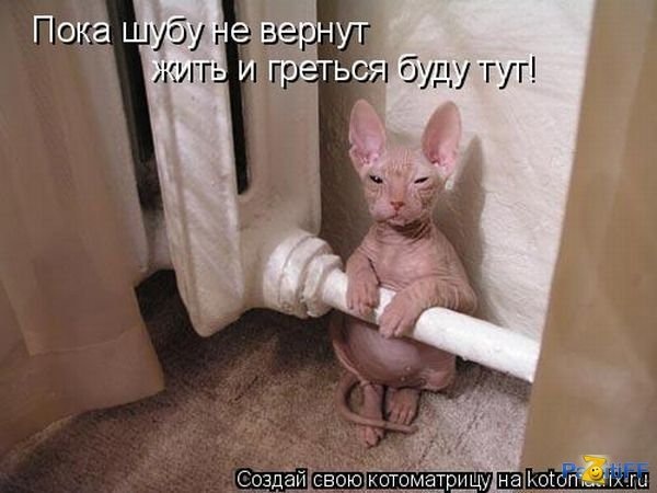 №4, Диана Мухина №4, Диана Мухина