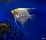 Фотография Андреевой Натальи