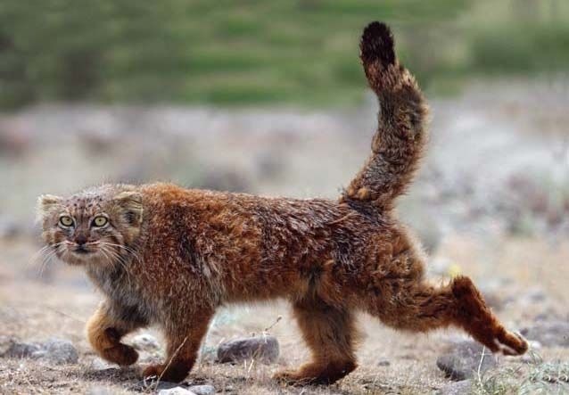 Сергей Марошко фотография #7