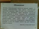 Фотография Стреминой Ольги