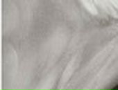 Саша Іскрицька фотография #17 (источник - https://vk.com/id73247965)