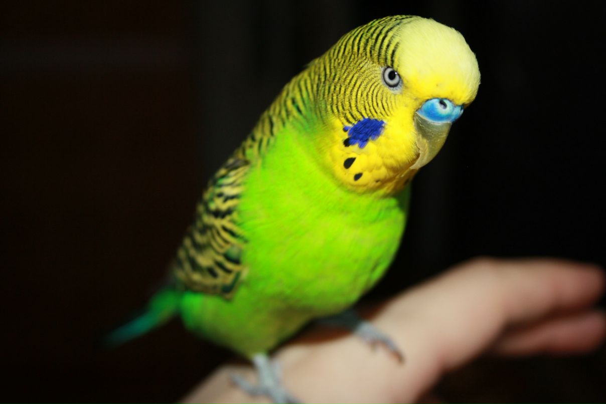 Денис Самков фотография #31