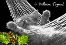 Сергій Громик фотография #8 (источник - https://vk.com/id76801216)