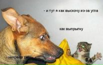 Лєна Маїло фотография #41 (источник - https://vk.com/id105605263)