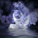 Марія Рибій фотография #25 (источник - https://vk.com/id170892304)