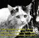 Фотография Журина Ивана