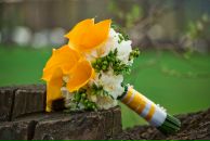 Анна Лямина фотография #40 (источник - https://vk.com/id130294)