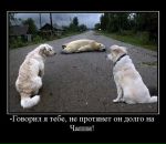 Міша Божан фотография #7 (источник - https://vk.com/id31850740)