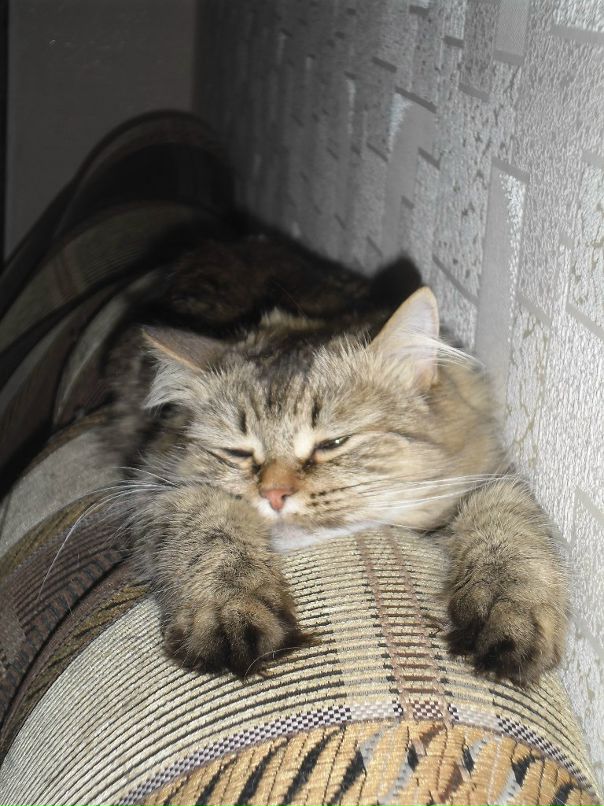 Женя Дмитриев фотография #17