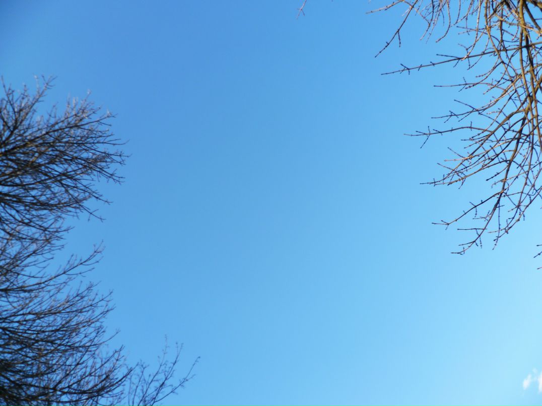 Dragon Fly фотография #5