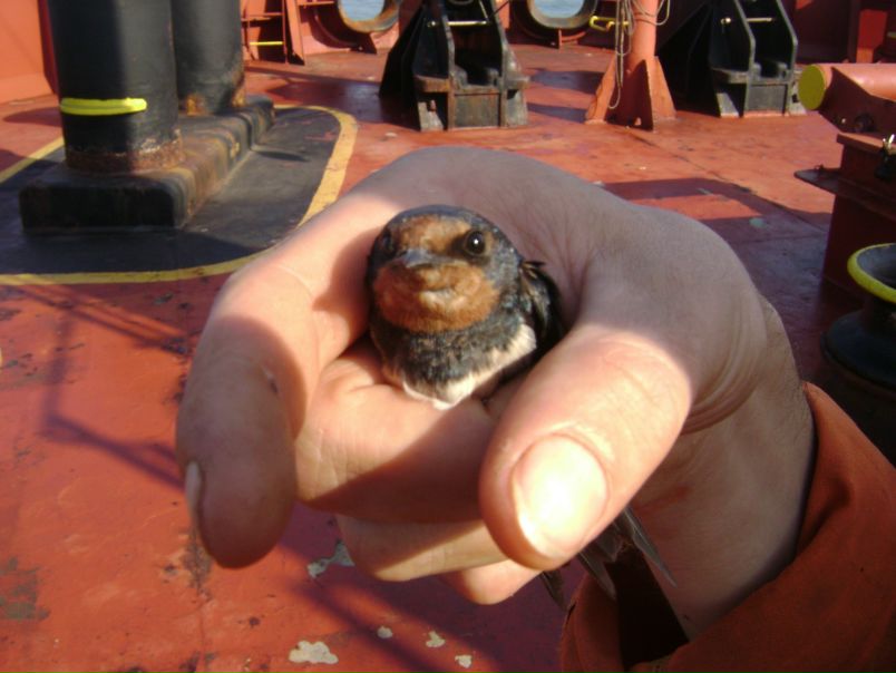 Борис Дымов фото №37