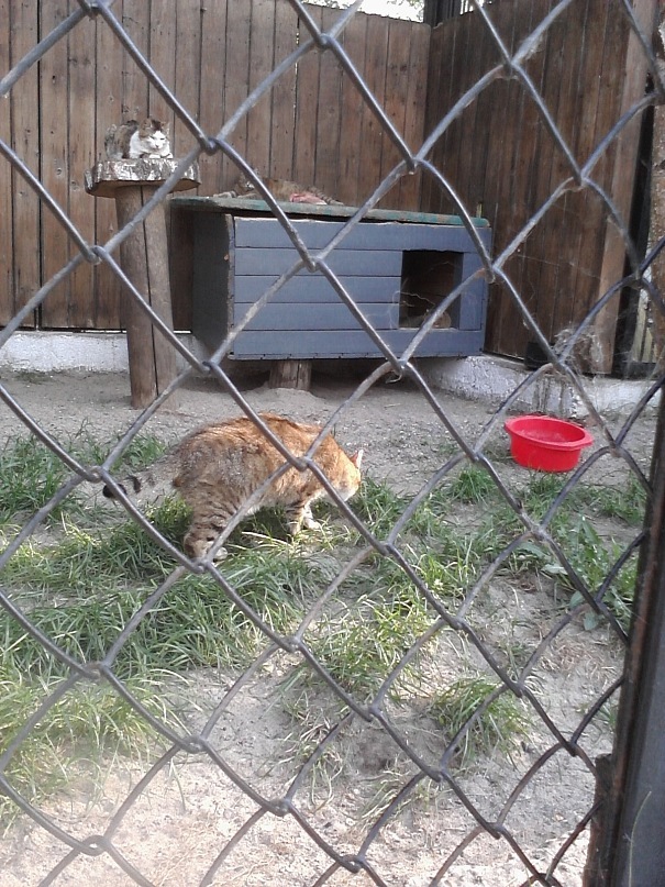 Дмитрий Иост фотография #36