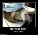 Андрій Піхурко фотография #23 (источник - https://vk.com/id16113506)