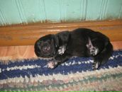 Фотография Ерёминой Тамары