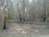 Сергей Чулочников фотография #29 (источник - https://vk.com/id271202)