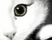 Вітуся Бейко фотография #21 (источник - https://vk.com/id67748452)