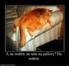 Slava Teslev фотография #42 (источник - https://vk.com/id20049574)