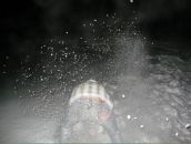 Фотография Дементьевой Катерины