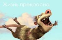Фотография Vesel(чак)u E-e-e