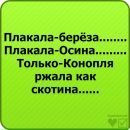 Максим Логінський фотография #34 (источник - https://vk.com/id20566617)