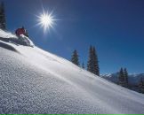 Юлія Штупина фотография #42 (источник - https://vk.com/id2255558)