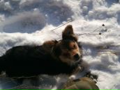 Міша Мудрак фотография #41 (источник - https://vk.com/id133031979)